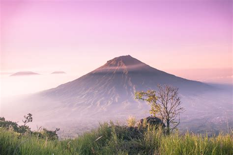 Galeri foto main game domino pilihan hemat maksimal yang cocok untuk pemula Terjamin aman di buka di halaman riwayat